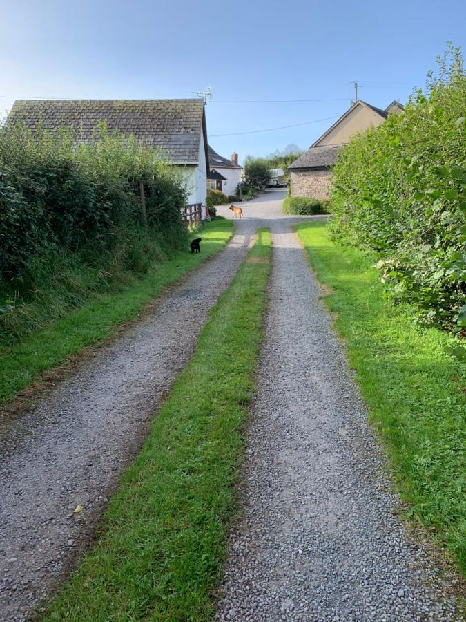 The Reindeer Retreat Buttercup Twin Hotel Kidwelly Exterior foto